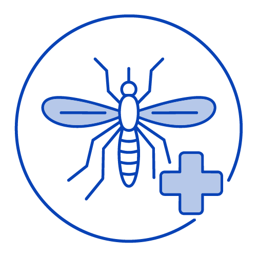 ícono Aedes aegypti
