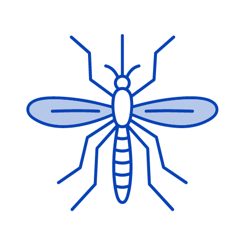 Chikunguña