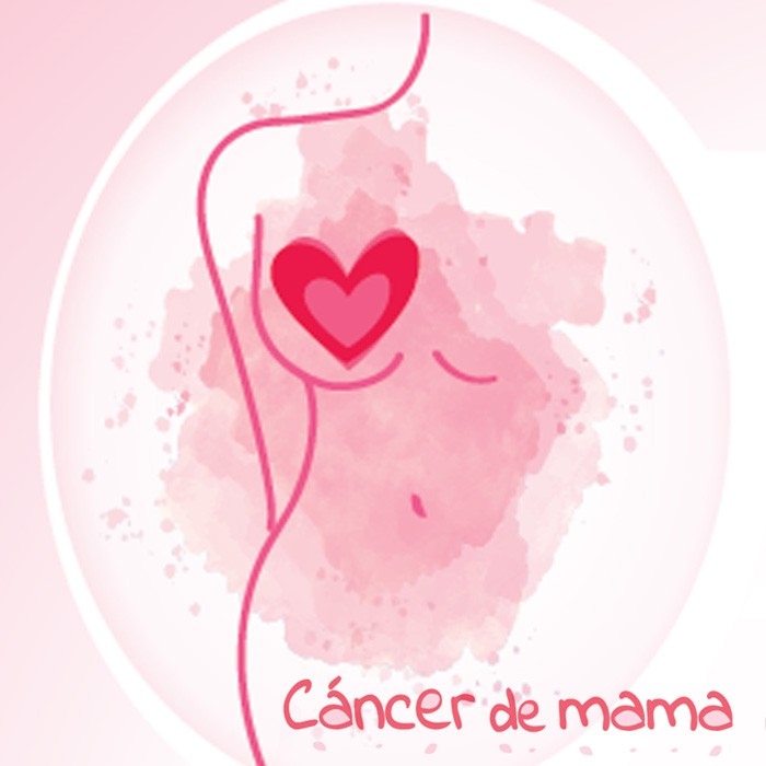 No olvidar agregar el alt de la imagen