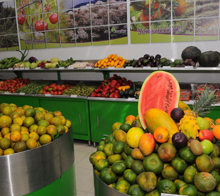 alimentacion.jpg