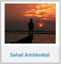 salud-ambiente.jpg