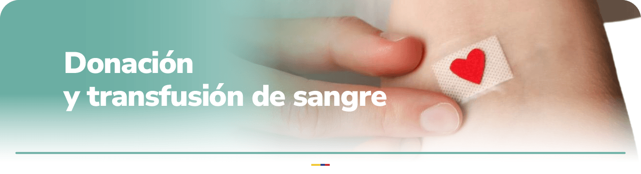 header-mision-siifa.png